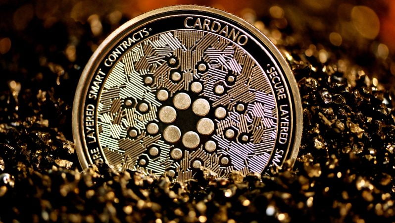 ”Cardano(ADA)  Coin Nedir? Son Durumu Nedir?